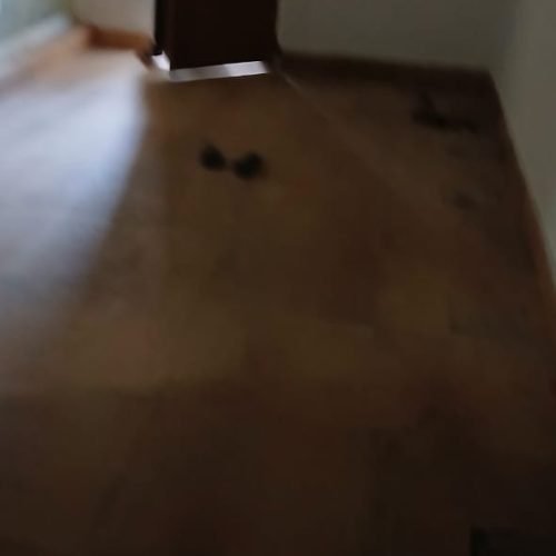 96c6ba5c-1bf0-4ee4-9474-bdf62a94628d