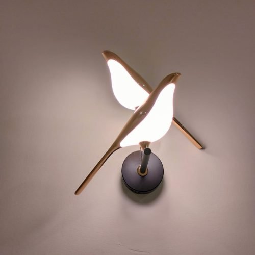 WhatsApp Image 2025-05-14 at 2.17.26 PM (1)