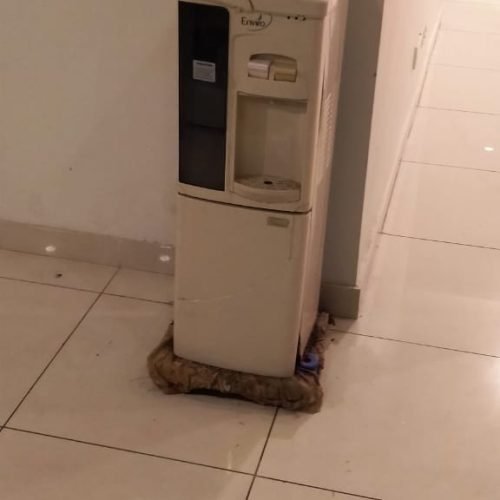 WhatsApp Image 2025-12-23 at 4.17.41 PM (1)