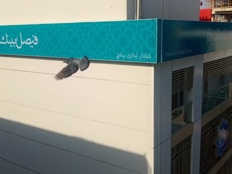 1050 sq ft office interior in DHA Phase 6 Bukhari Commercial